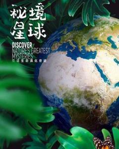 了解武昌站到武汉站坐地铁要多久?,探索知识星球平台的世界