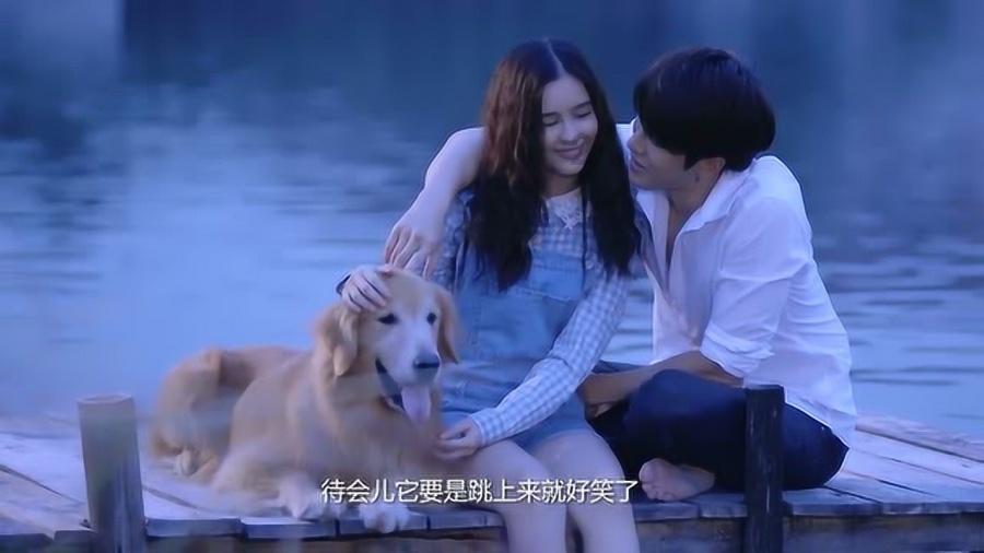 “花苑”飞进居民楼，“一脉三园”的故事更新了！杨浦颁布年度“睦邻”成果